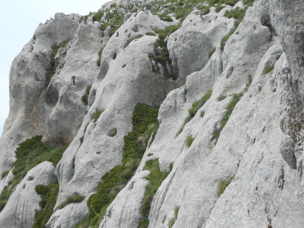 dscn0973.jpg