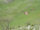 dscn0398_small.jpg