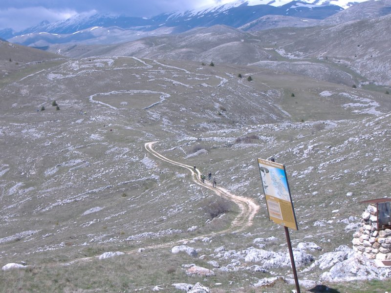 dscf0382.jpg