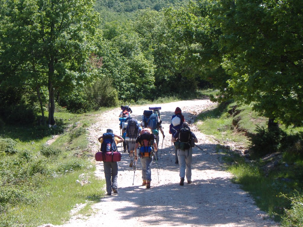 dscf0764.jpg