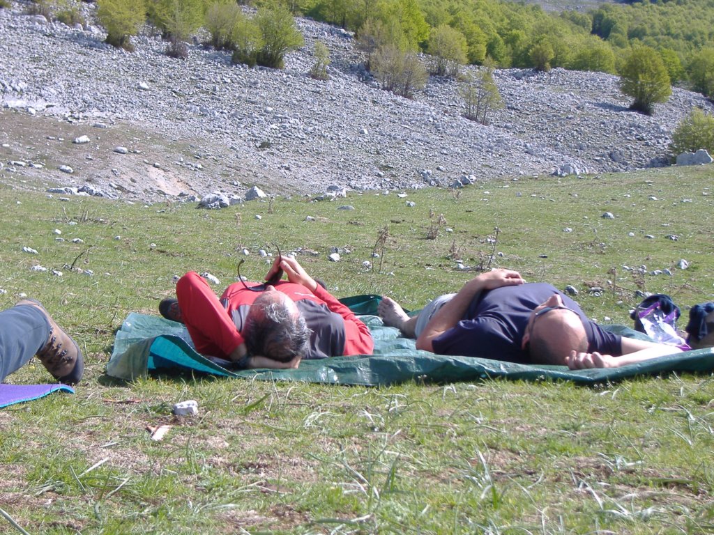 dscf0885.jpg