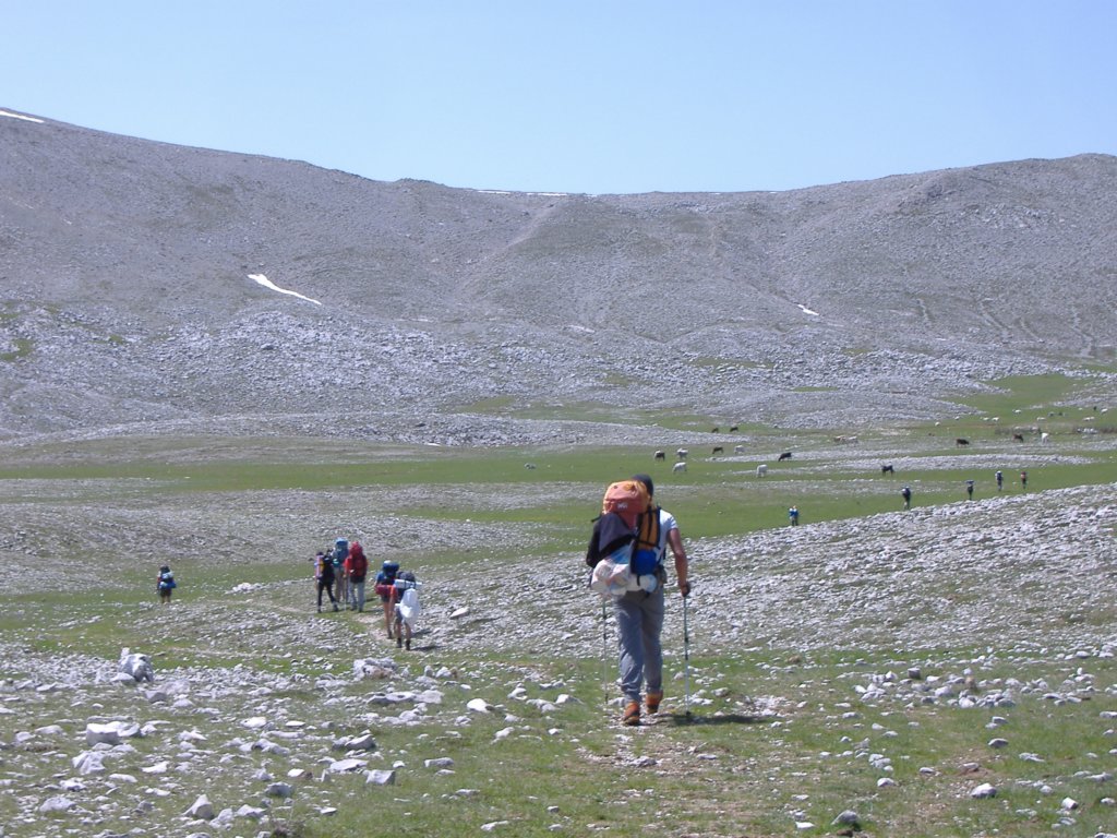 dscf0894.jpg