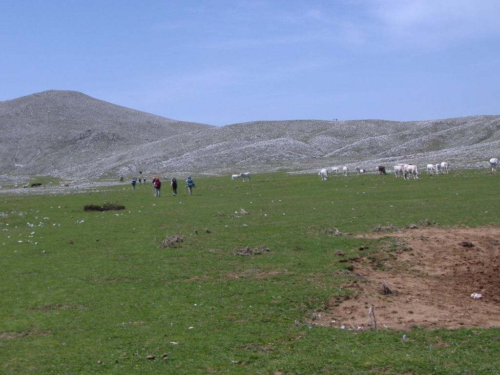 dscf0896.jpg
