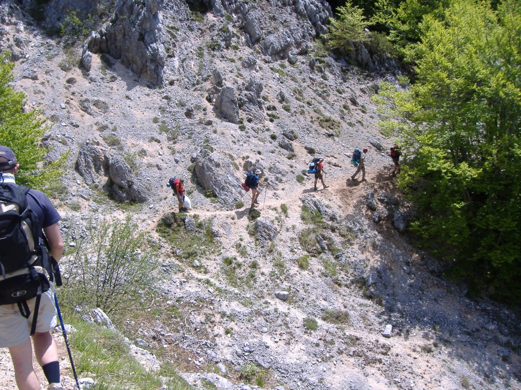 dscf0905.jpg