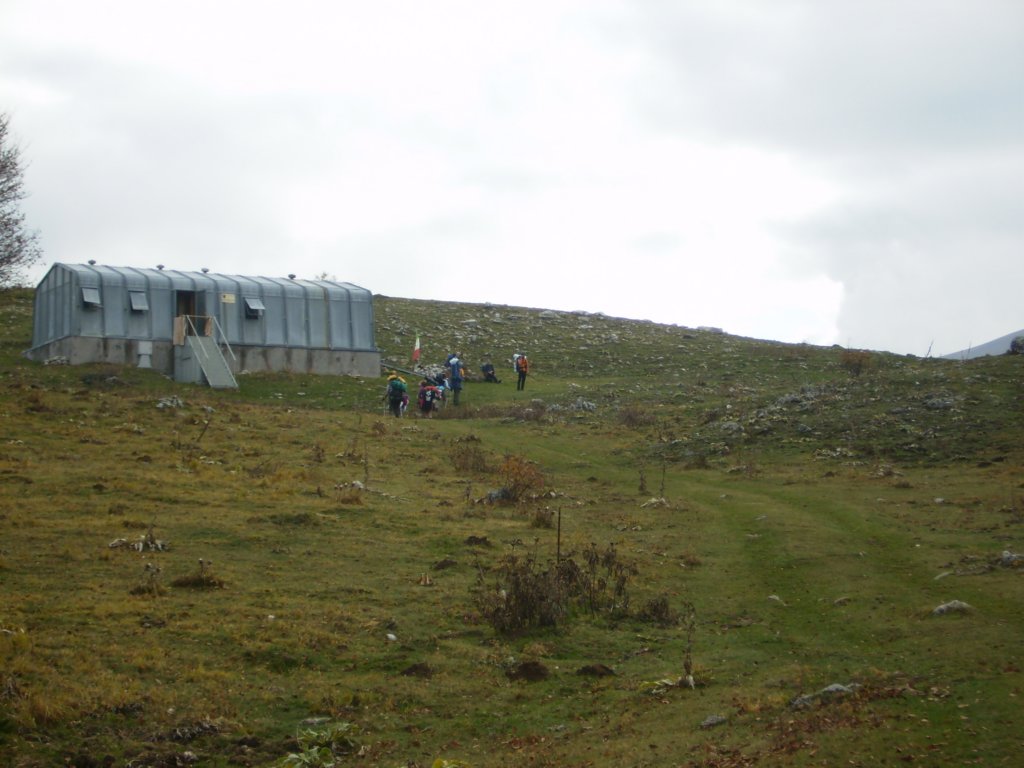 pa250007.jpg