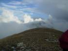 pa250080_small.jpg