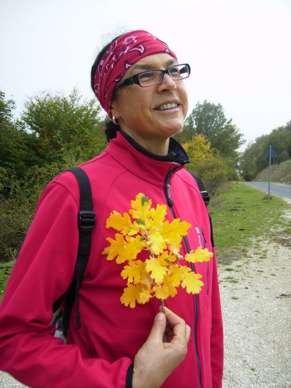 p1010077.jpg