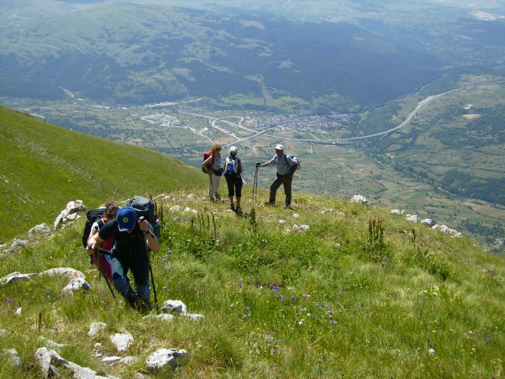 p7200009.jpg