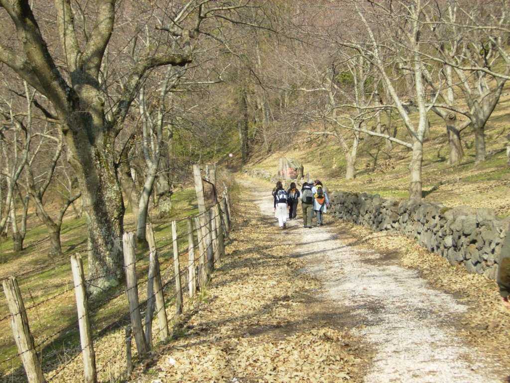 p4050001.jpg