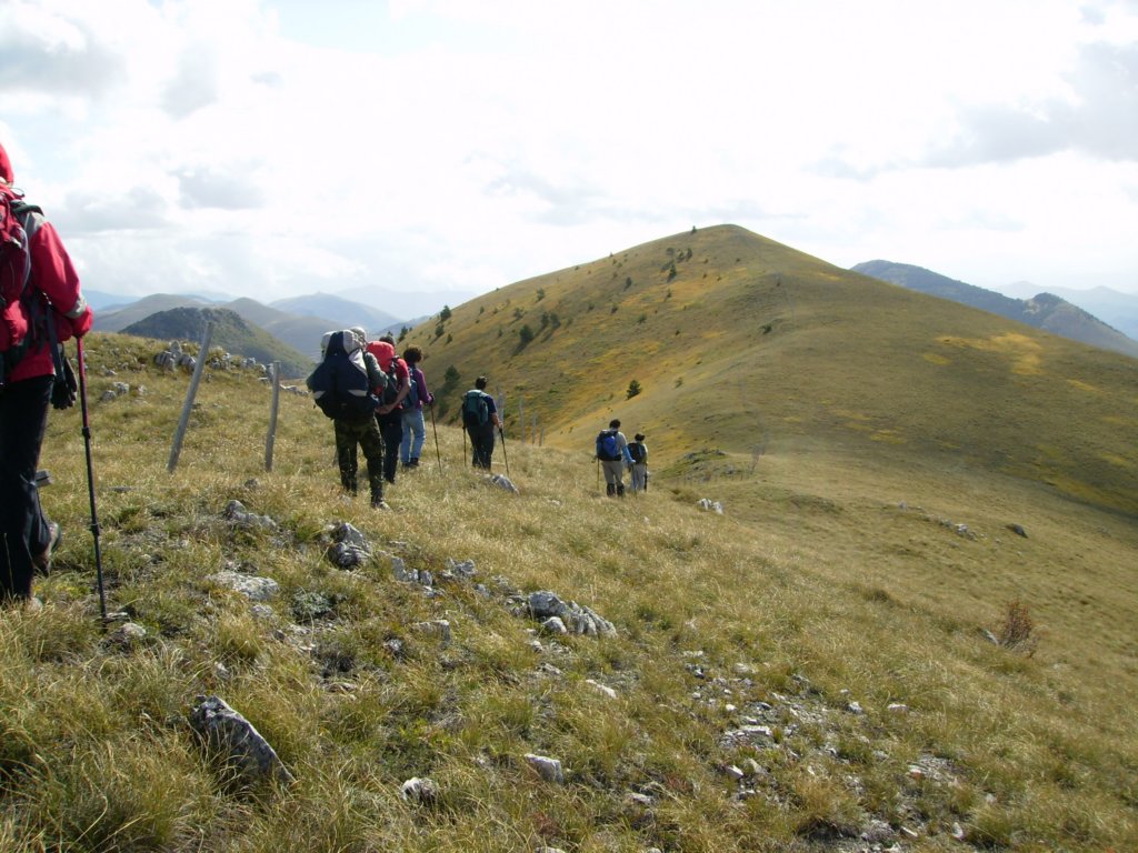 pa040016.jpg