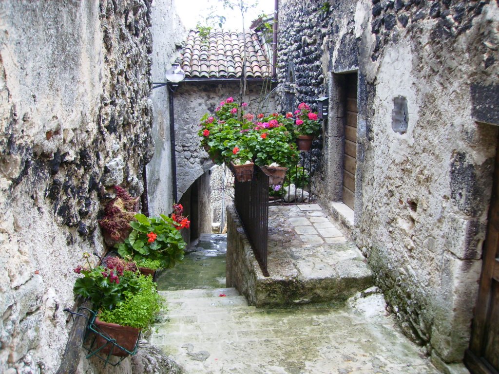pa040027.jpg