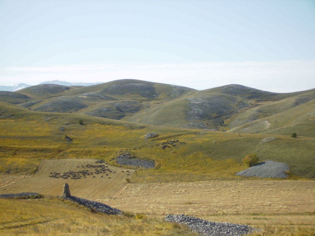 pa050084.jpg