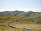 pa050084_small.jpg