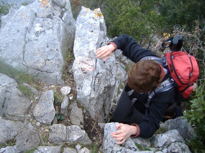 dscf9897.jpg