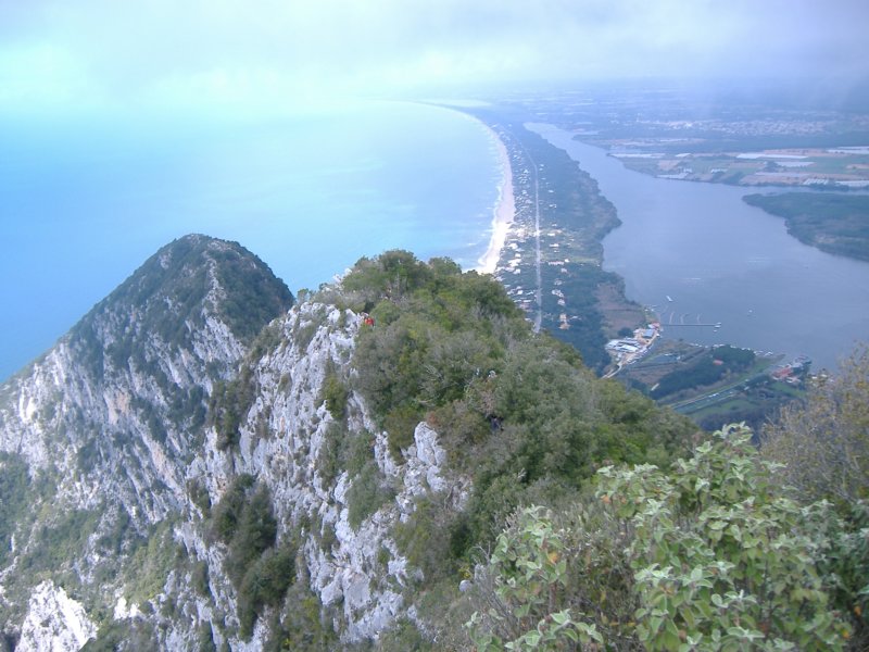 dscf9906.jpg