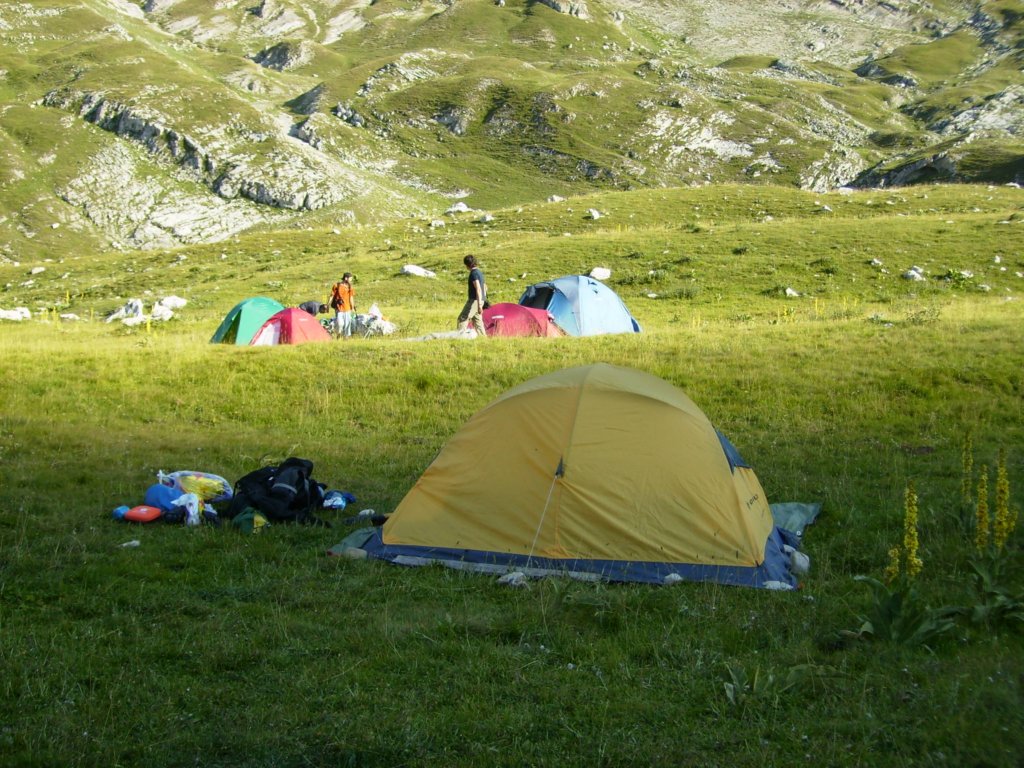 p8020104.jpg