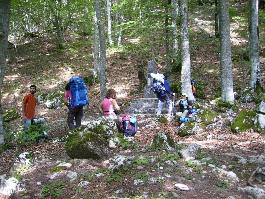 p8030181.jpg