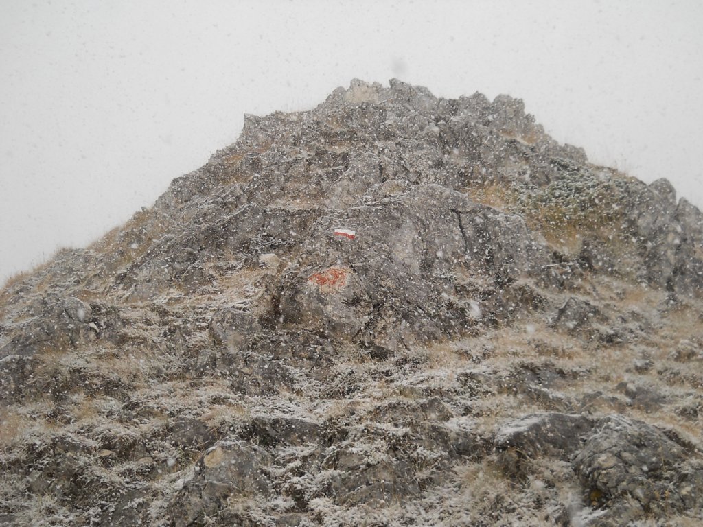 dscn2909.jpg