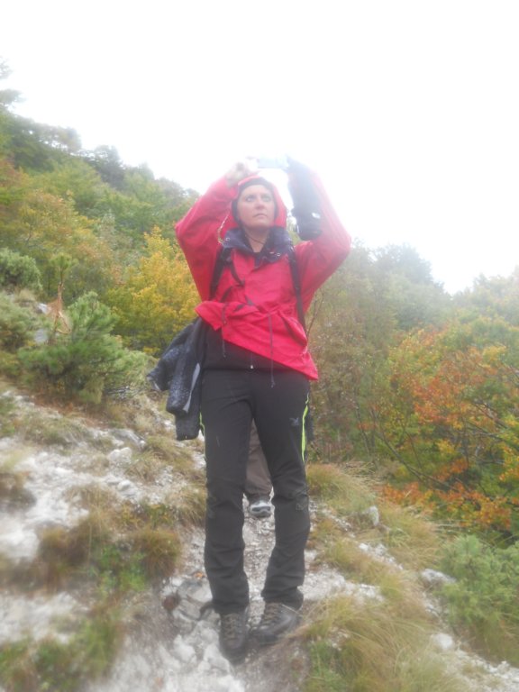 dscn2935.jpg