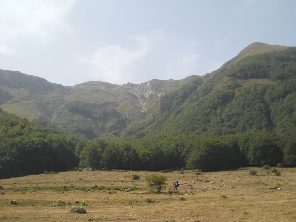 dscn2232.jpg