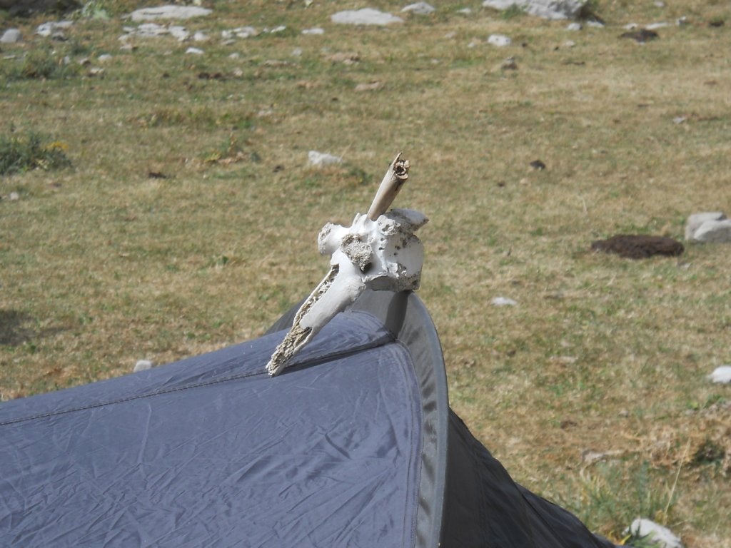 dscn2270.jpg
