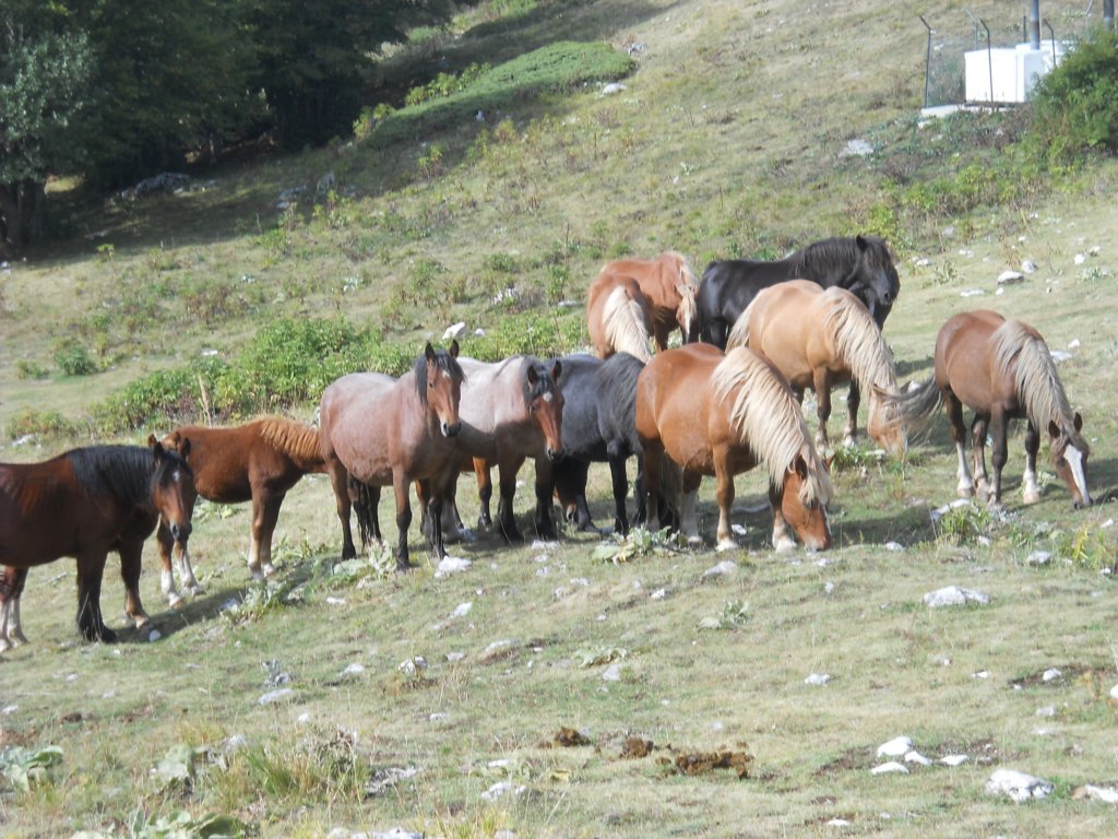 dscn2657.jpg