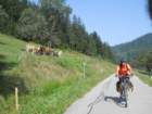 dscn1925_small.jpg
