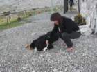 dscf0220_small.jpg