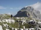 dscf0229_small.jpg