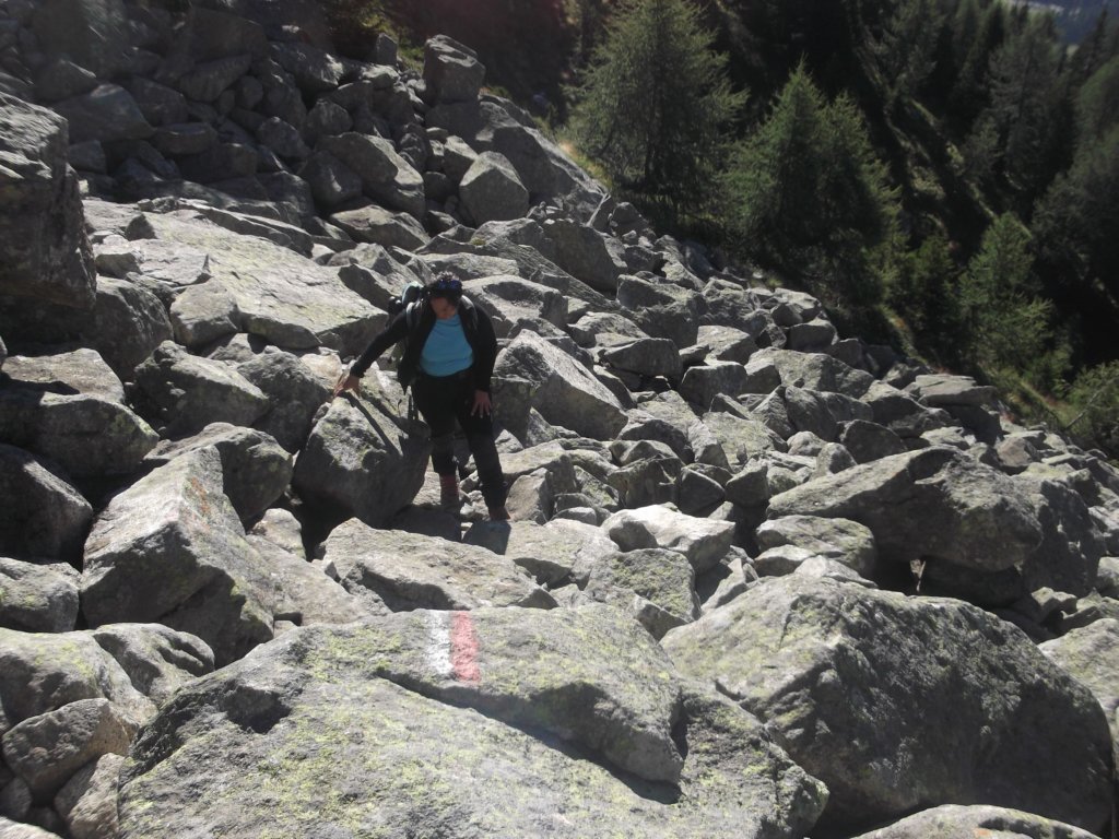 dscf0677.jpg