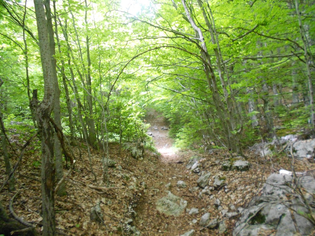 dscn0268.jpg