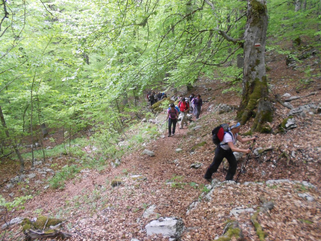 dscn0273.jpg