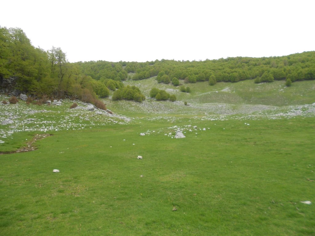 dscn0281.jpg