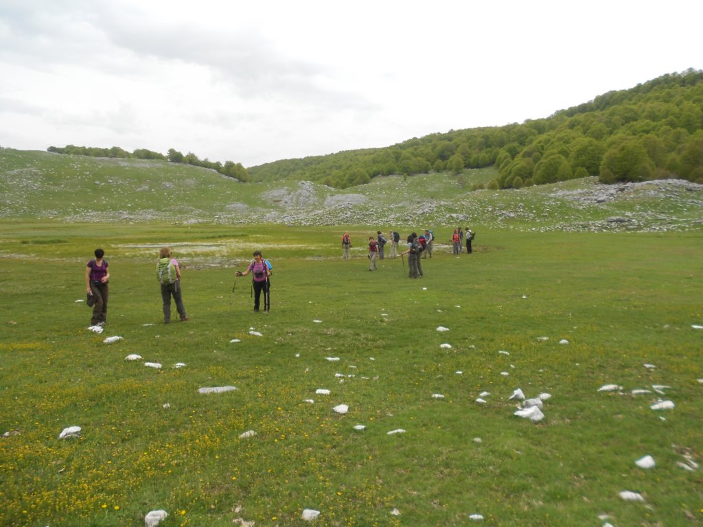 dscn0282.jpg