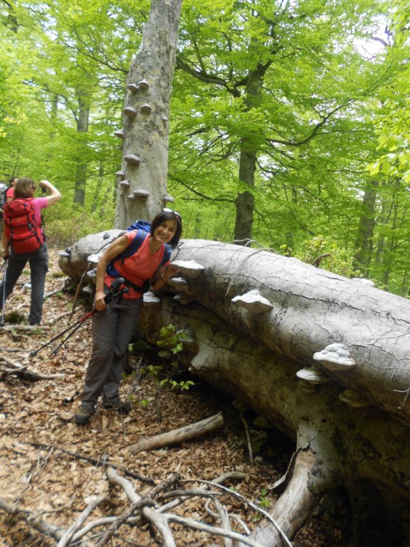 dscn0307.jpg