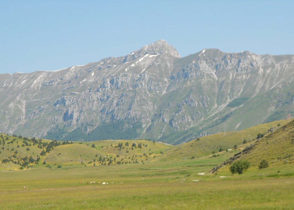 dscn0861.jpg