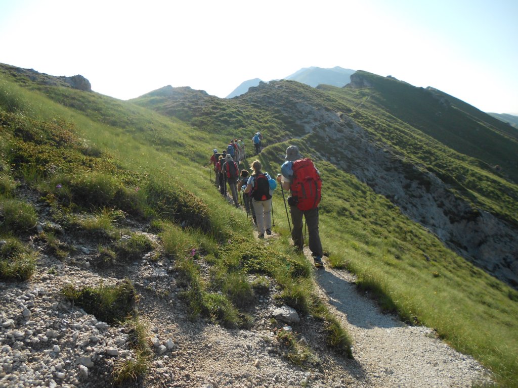 dscn1124.jpg