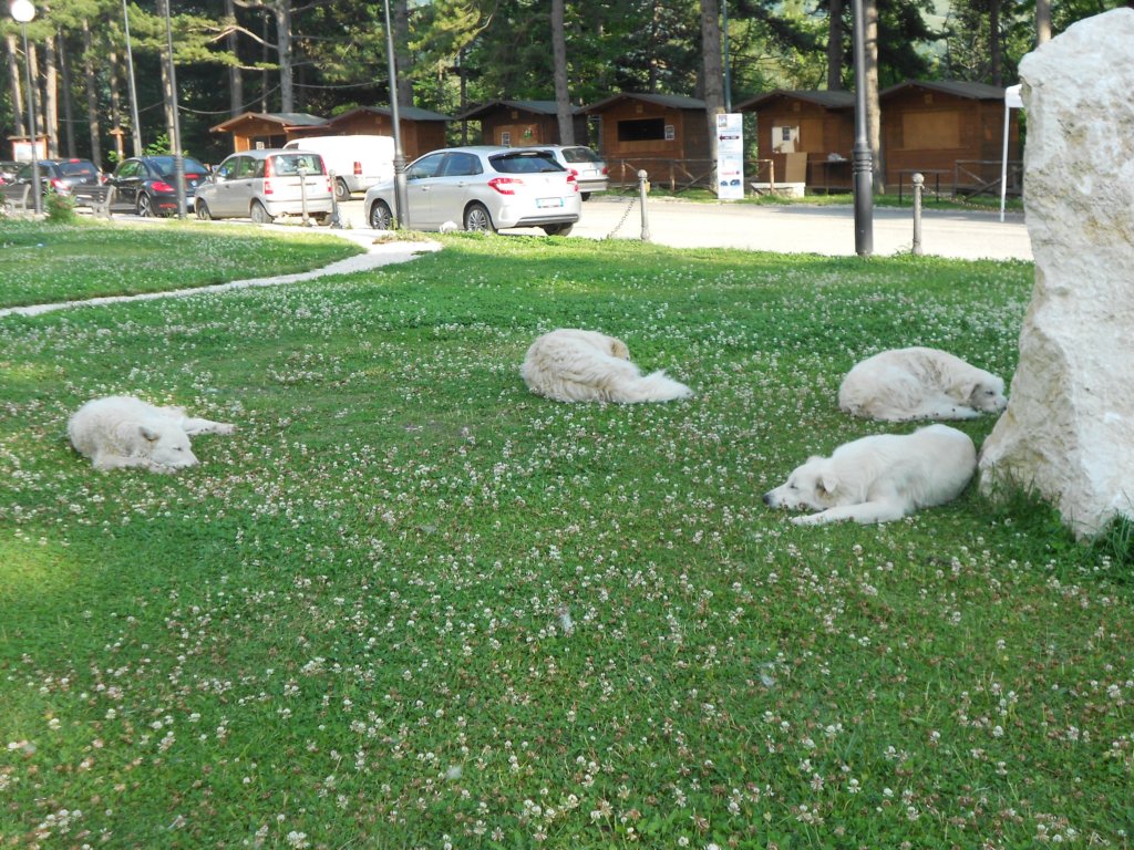 dscn1307.jpg
