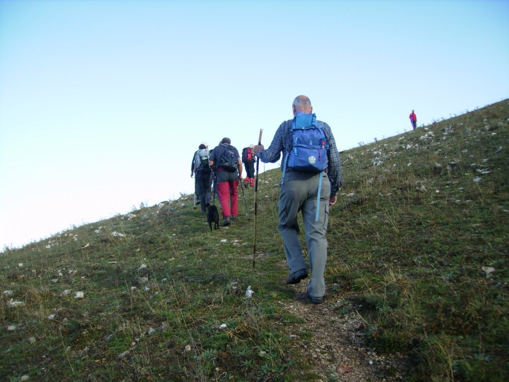 p1010097.jpg