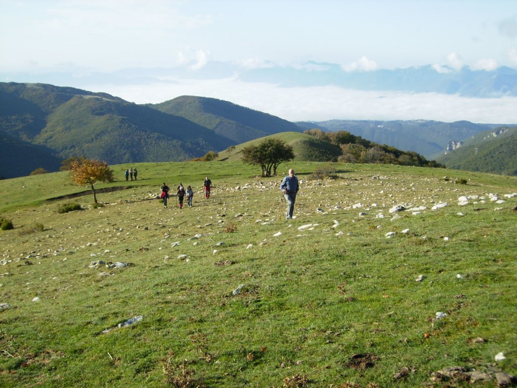 p1010105.jpg