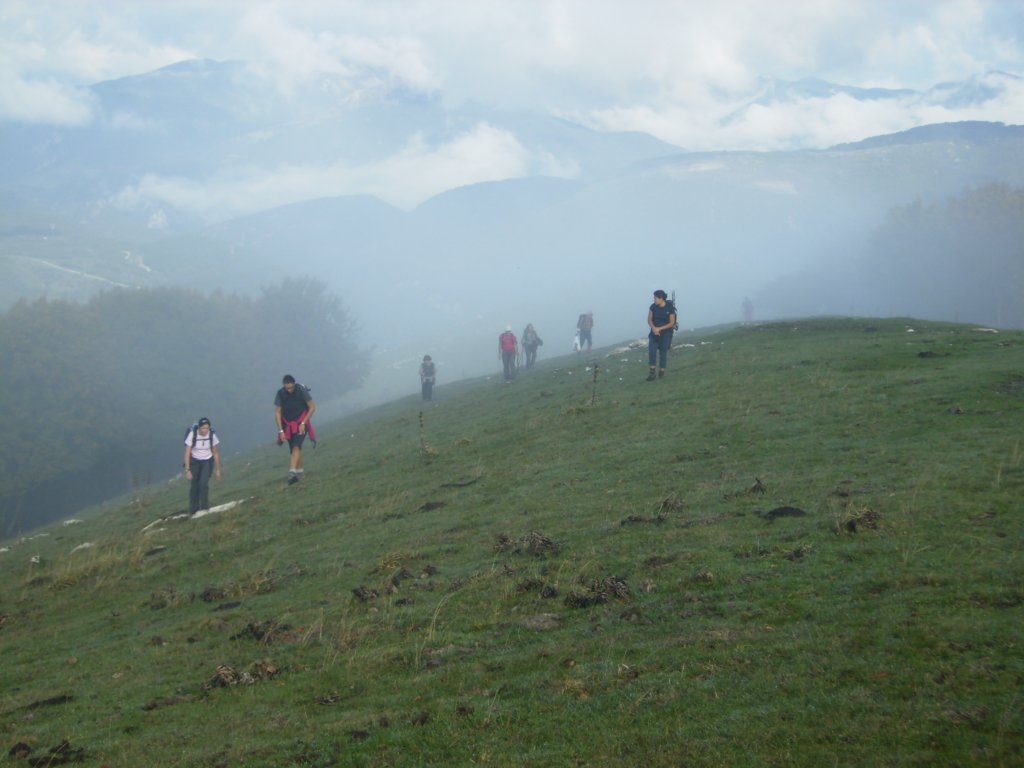 p1010123.jpg