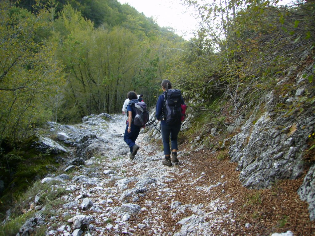 p1010178.jpg