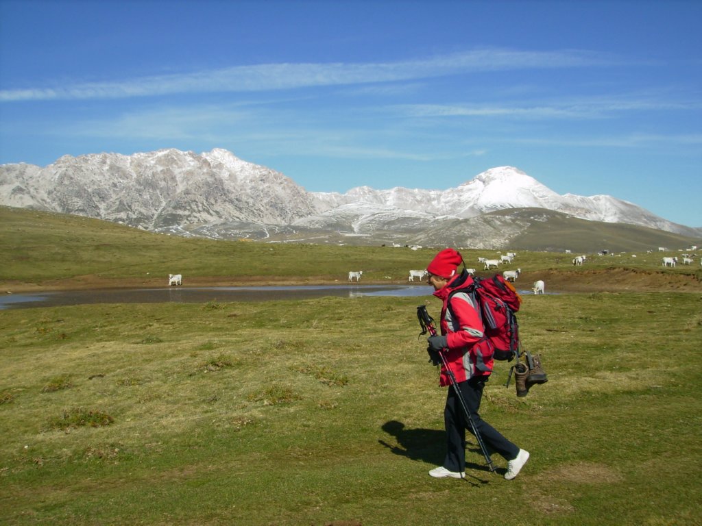 pa050116.jpg