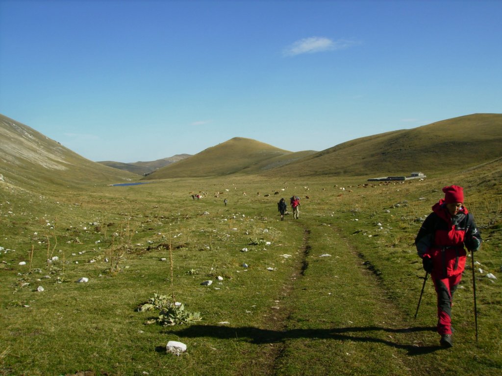 pa050137.jpg