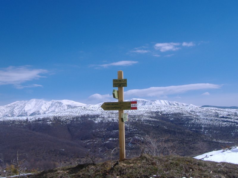 dscf9972.jpg