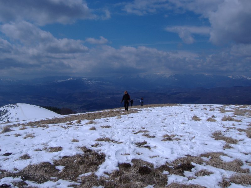 dscf9997.jpg